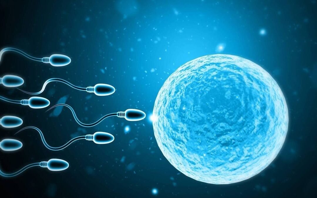 IVF in India for UAE & GCC Couples – Trusted Fertility Treatment with Gulf Corner Medical Tourism Bangalore