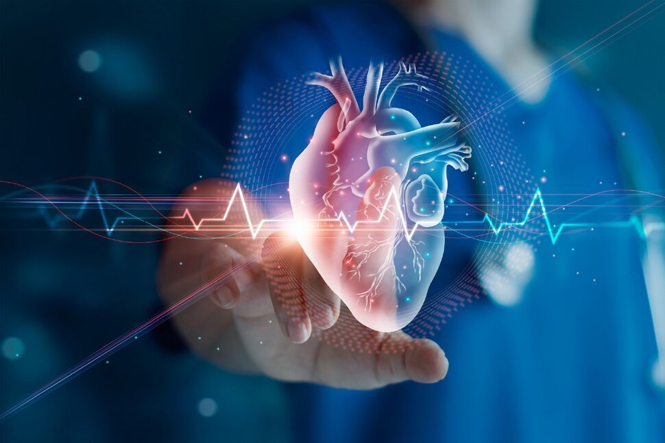 Cardiac Care – Best Heart Hospital in India for Foreigners | Heart Transplant India Success Rate