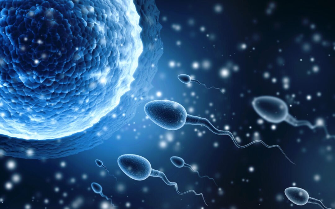 IVF & Fertility Treatment – Affordable IVF Treatment in India for Gulf Patients – Gulf Corner Medical Tourism Bangalore