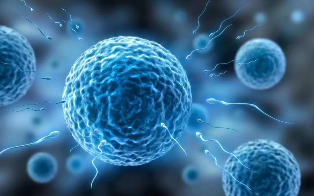 Free IVF consultation* – Tubal Factor Infertility Bangalore India