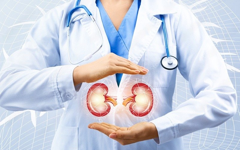 زراعة الكلى الآمنة وبأسعار مناسبة في الهند للمرضى العرب | Gulf Corner Medical Tourism بإشراف أبو خالد