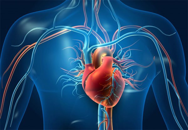 Top-Quality Heart Surgery in India with 100% Success Rate – Gulf Corner Medical Tourism Bangalore